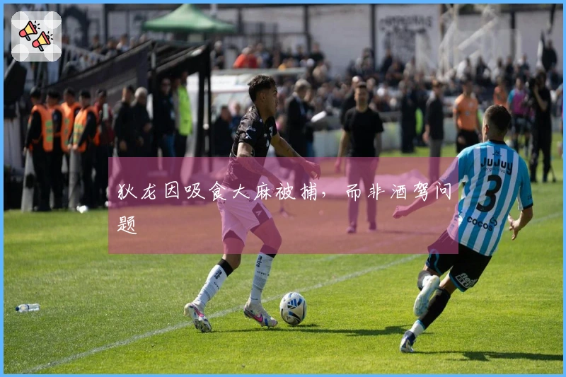 狄龙因吸食大麻被捕，而非酒驾问题