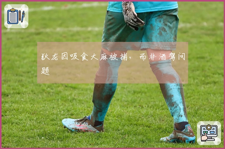 狄龙因吸食大麻被捕，而非酒驾问题